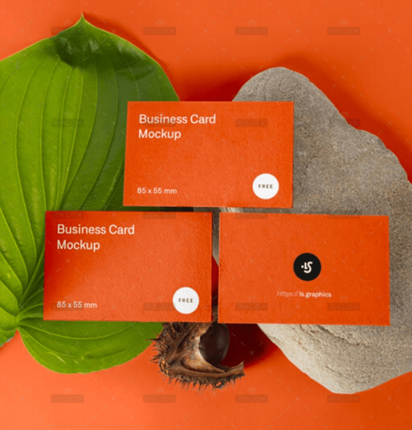 demo-attachment-1798-eh9jwsul